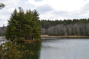 Moses H. Cone Park on the Blue Ridge Parkway