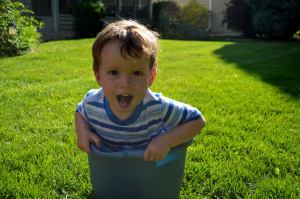 I guess he was tired of the walks to the pool. He created his own in the backyard!