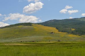 The Hills Just South of Crested Butte