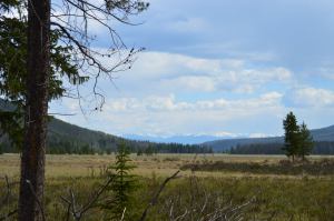 Views from the western side of Rocky Mountain National Park