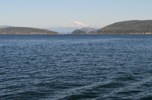 The Puget Sound and Mount Baker