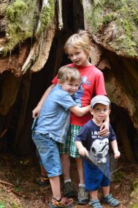 The Boys!  Elliot, Emerson, and Van