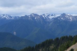 Hurricane Ridge, Olympic National Park