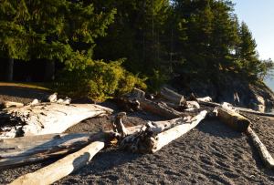 Porteau Cove Provincial Park, BC