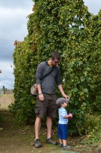 At the Rogue Brewery Hop Farm