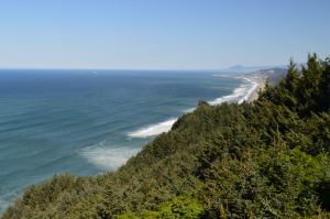 Welcome to the Northern California Coast!