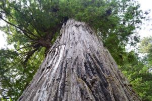 Helloooooo up there!