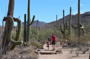 Hiking in Saguaro National Park, Arizona